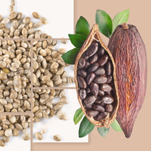 Load image into Gallery viewer, Raw Cacao Mushroom Mylk - Rainbow Root Teas