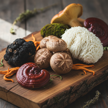 Load image into Gallery viewer, Superfood Cacao Mushroom Dry Blend 2 oz
