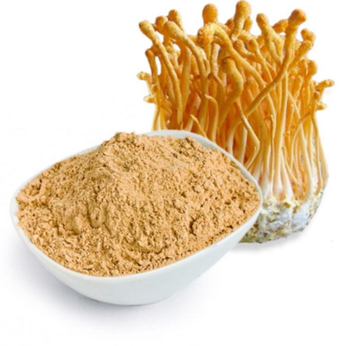 Organic Cordyceps Mushroom Powder - Rainbow Root Teas, [elderberry teas], [seamoss gels], [rainbowrrotteas]