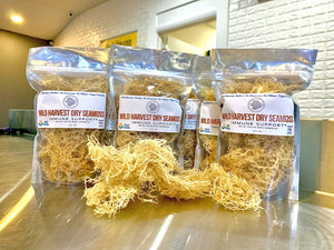 Bulk/ Case Packs Golden Seamoss Wild Harvest - Rainbow Root Teas